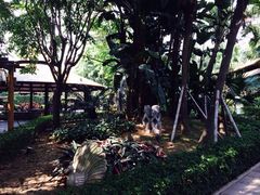 iphone_upload_pic-厦门日月谷温泉渡假村