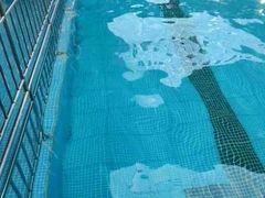 -阳光游泳培训基地(天通苑店)