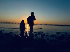 -宝安西湾红树林湿地公园