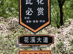 -老君堂公园
