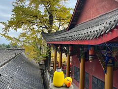 -金堂县云顶石城风景区