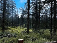 -瓦屋山景区