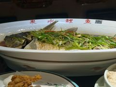 泉水鲤鱼-燕喜堂·中华老字号(大明湖店)