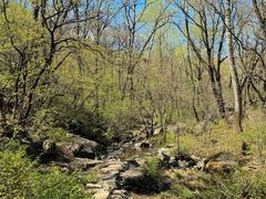 -玉渡山自然风景区