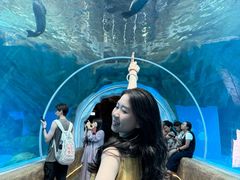 -香港海洋公园