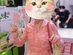 -须尽欢·冰淇淋&中国茶(翔殷路店)