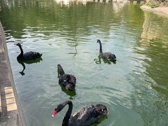 -昆明动物园