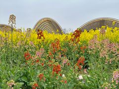 -中国天府农业博览园