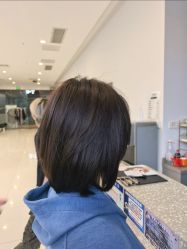 -世田造型