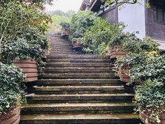 -中国茶叶博物馆(双峰馆区)