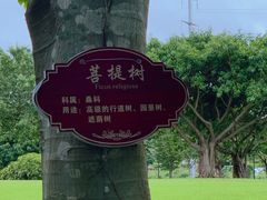 -万绿园