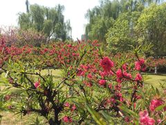 -白塘生态植物园