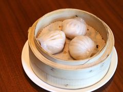 -广州富力君悦大酒店空中花园
