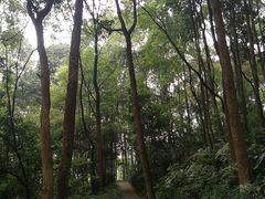 -忠山公园