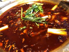 鲜兔火锅-红辣椒·川菜·火锅(科华路店)