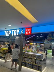 -中国积木(西单大悦城店)