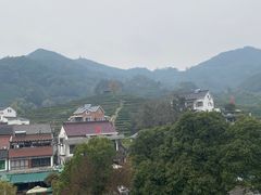 -古乐牛香·鲜牛肉牛杂火锅(新区店)