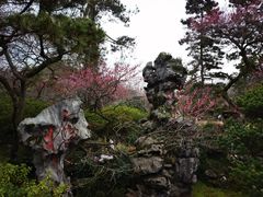 -杭州植物园