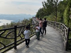 -千岛湖天屿景区