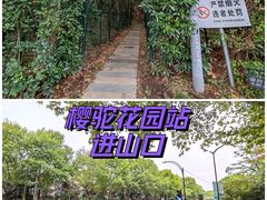 -紫金山山顶公园