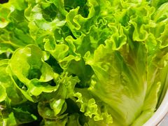 -南门涮肉(上海一店)