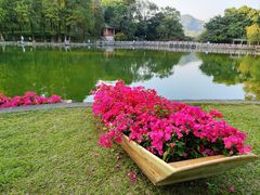-广州市白云山风景名胜区