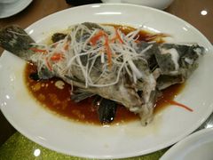 -顺峰渔港中国人的餐厅