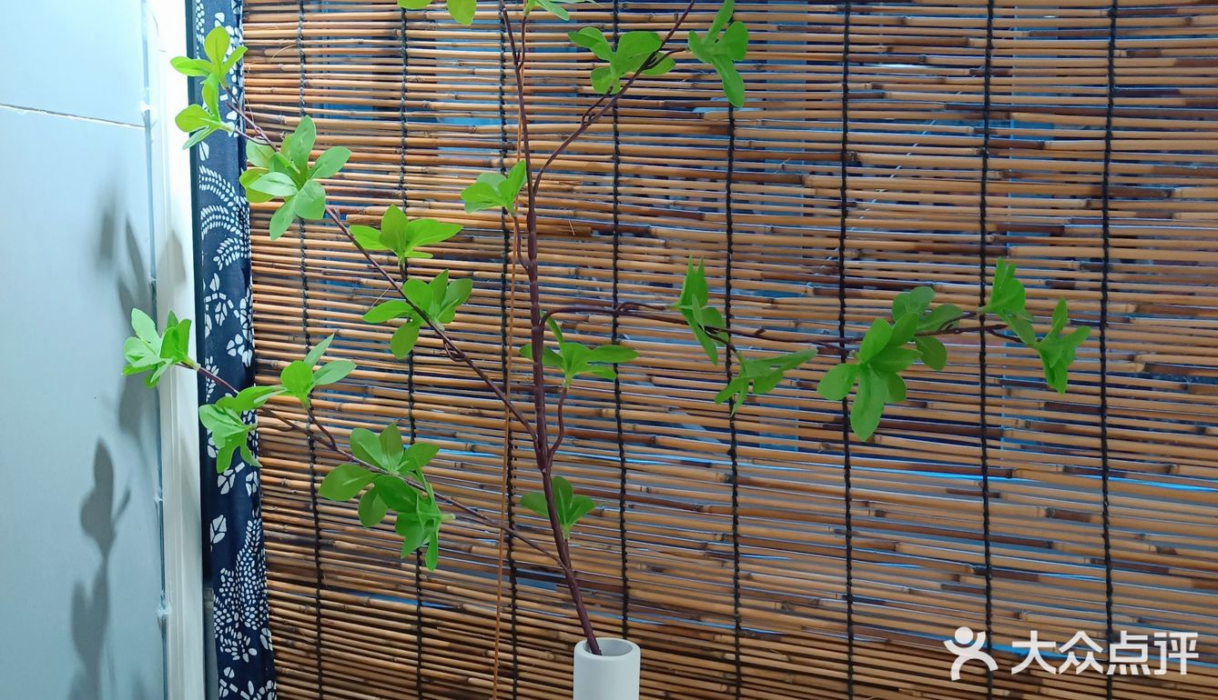 人在花间住人在草木中～咖啡馆里有个小小植物园