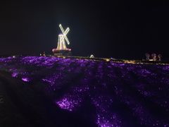 -大塘金香草谷