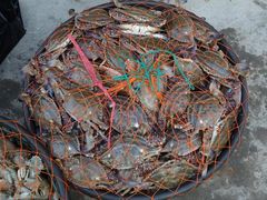 -浪琴湾尾角仔海鲜坊