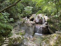-牛背梁国家森林公园