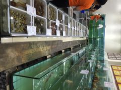 海岛渔村大酒店-海岛渔村大酒店(云霄路店)