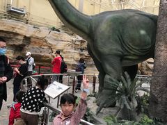 -国家自然博物馆