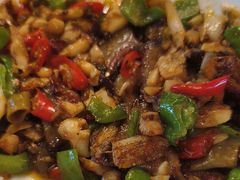 -柴窝堡22号辣子鸡·传承新疆菜