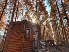 -黄海国家森林公园