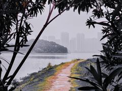 -洋湖国家湿地公园