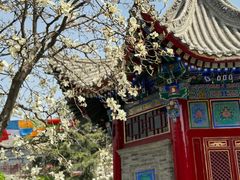 -西安市广仁寺