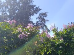 -白沙门生态公园