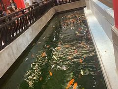 -龙悦湾酒家·八阵鱼生·渔人码头店