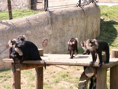 -大连森林动物园