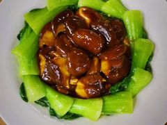 -天鹅到家·保姆月嫂育儿嫂(南开店)