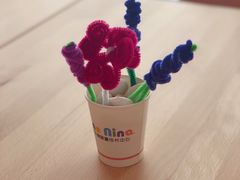 -NinoNina婴童成长中心(通州店)