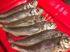 -季季红火锅(动壹店)