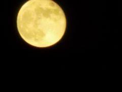 -秋水广场音乐喷泉