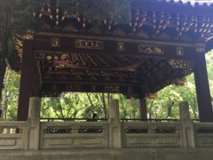 -汇龙潭