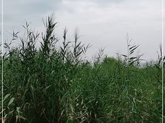 -处女泉风景名胜区