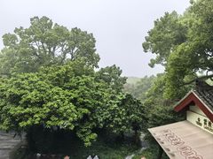 -普陀山雷迪森庄园