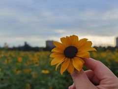 -汉长安城未央宫国家考古遗址公园