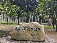 -南宁南湖公园