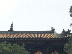 -真庆观